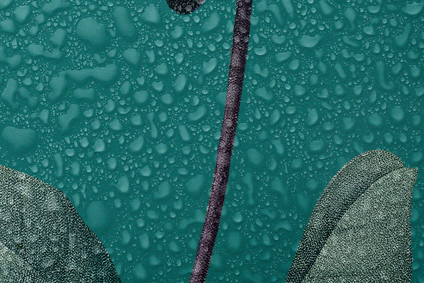 موکاپ تصویر (قطره باران) لایه باز