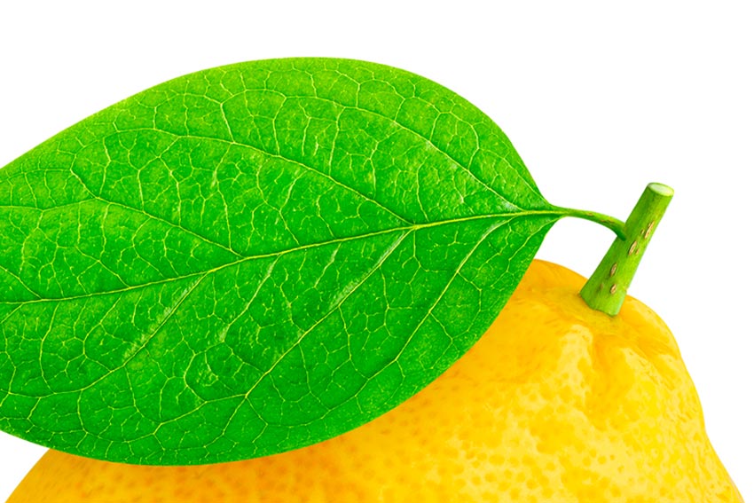 لیمو لایه باز